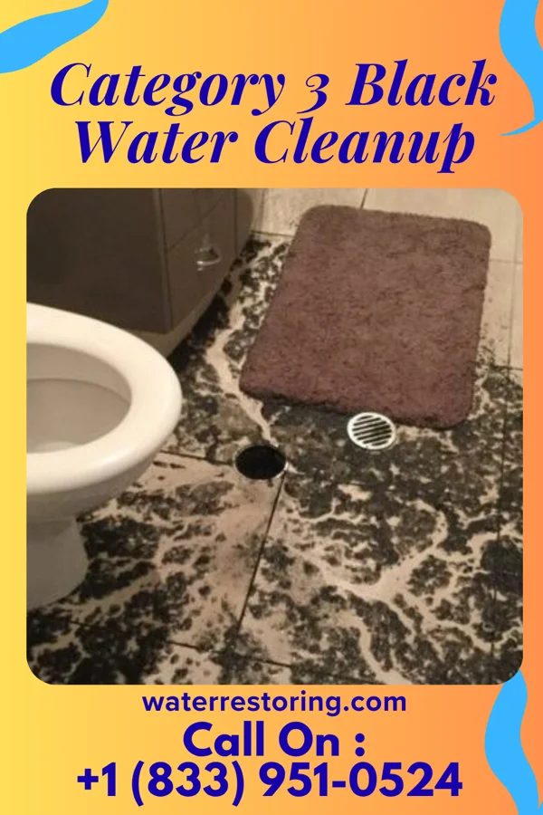 Category 3 Black Water Cleanup in Channahon, IL