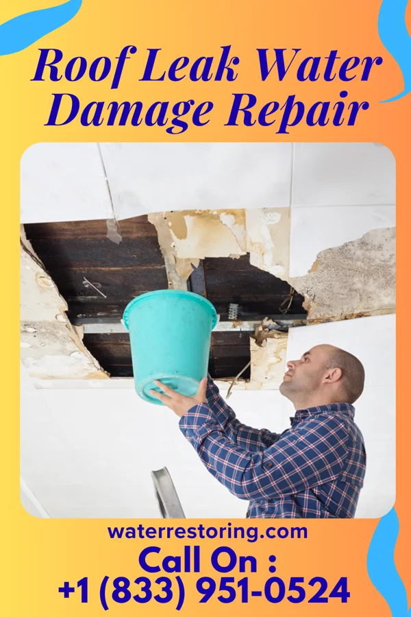 Roof Leak Water Damage Repair in Channahon, IL